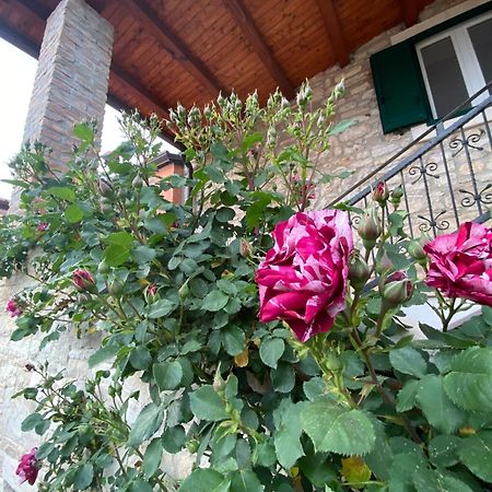 Villa Kortina Basanija Luaran gambar