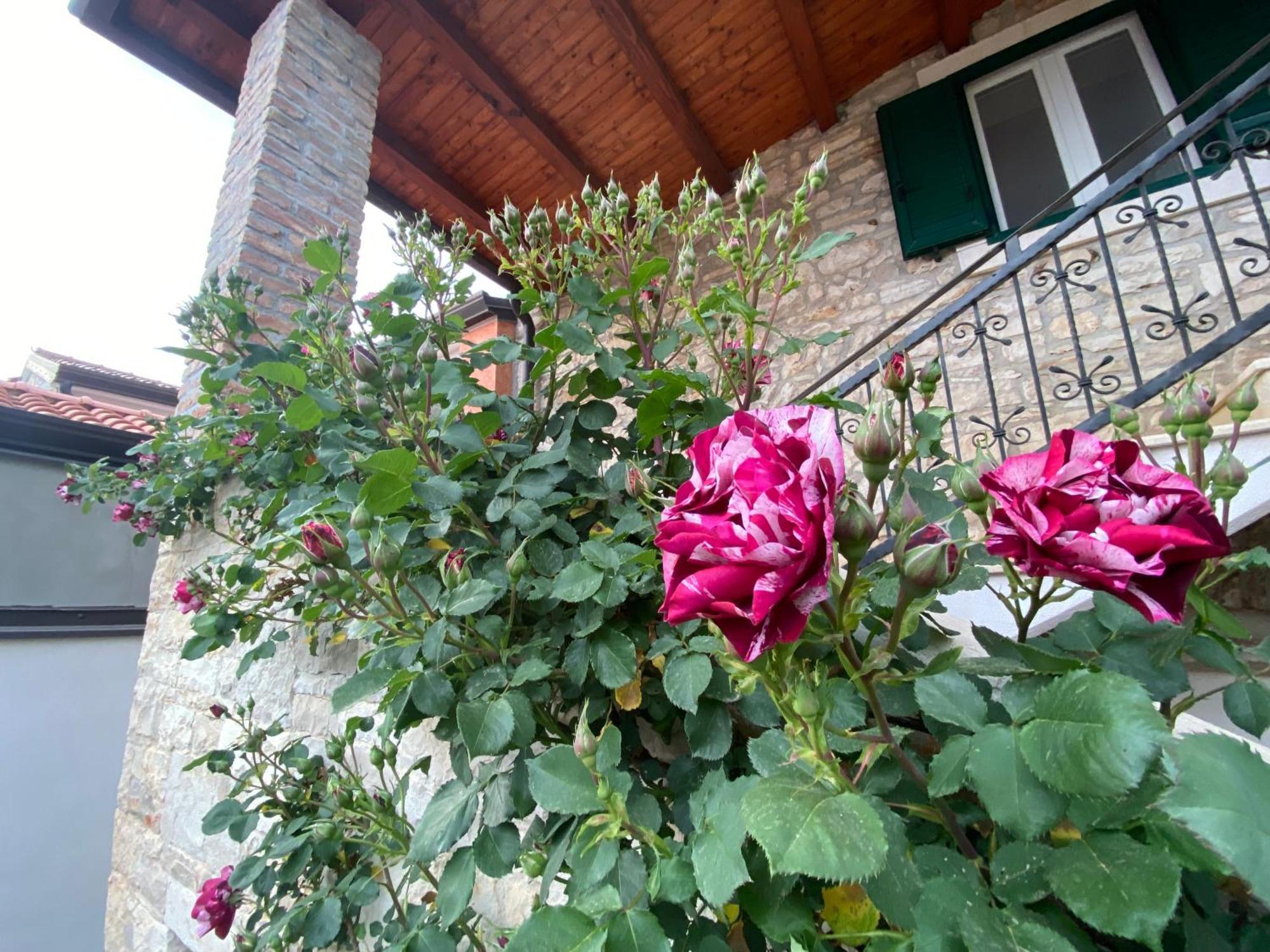 Villa Kortina Basanija Luaran gambar
